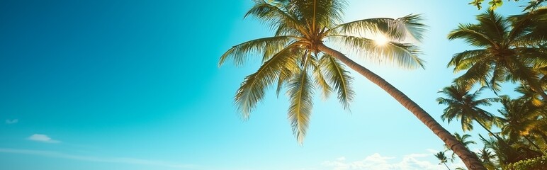 Stunning view of coconut trees along a serene beach with turquoise waters and golden sands, creating a tropical paradise under a clear blue sky.