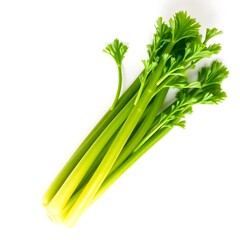 celery root on a white background