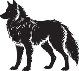 Wolf vector illustration