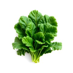 Healthy Green Collard Greens on White Background with Cut Out Style