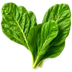 Fototapeta premium Healthy Green Collard Greens on White Background with Cut Out Style