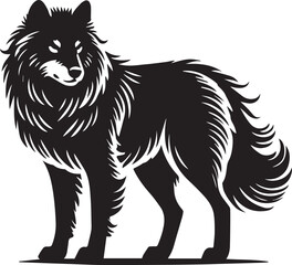 Black and white wolf