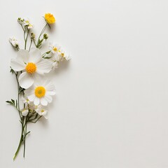 Obraz premium White Flowers on White Background