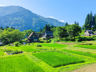 五箇山・相倉合掌造り集落