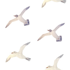 Flying sea gull seamless pattern isolated on white. High quality hand-drawn watercolor flat illustration for notebooks, scrapbooking, wrapping paper, textile, sea voyage souvenirs decor and design