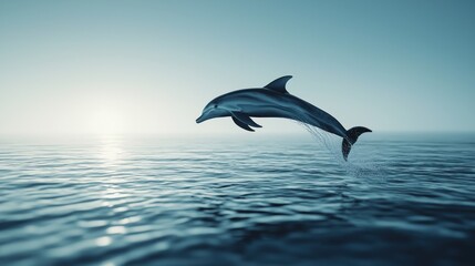 A dolphin leaps gracefully above the calm ocean surface at sunrise.