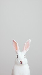 Minimalist White Rabbit on Gray Background - Clean and Modern Animal Portrait