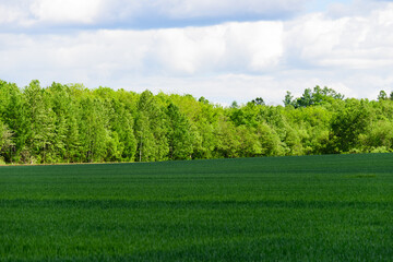 5月の北海道　富良野の風景