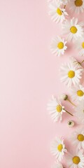 Obraz premium Minimalist White Daisies on Pale Pink Background - Fresh and Natural Flat Lay Frame