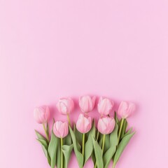 Fototapeta premium Minimalist Spring Pink Tulips Bouquet on Pastel Pink Background