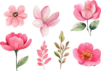 pink and white flowers