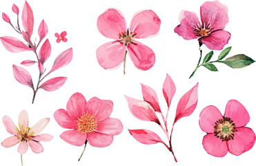 set of pink flowers
