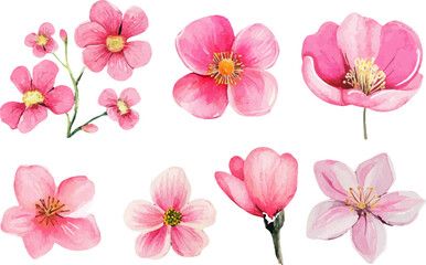 pink and white flowers