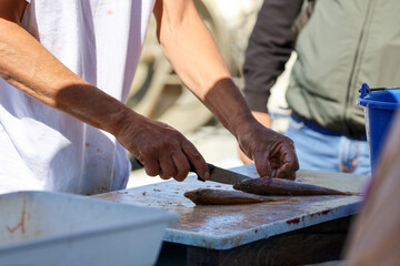 View of a person cleaning fresh fish at a street market.