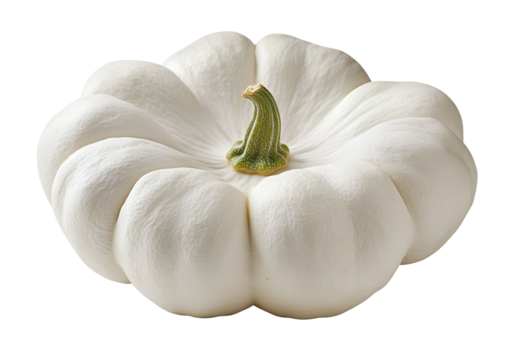 Pristine white decorative pumpkin png isolated on transparent background