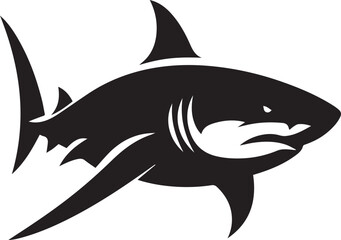 shark illustration