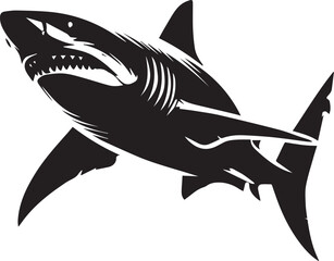 shark illustration
