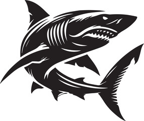 shark illustration