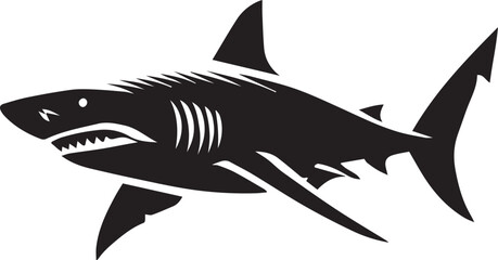 shark illustration