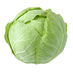 Head of cabbage png isolated on transparent background