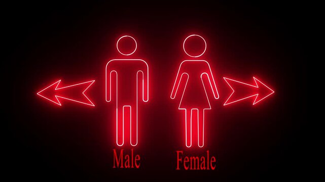 Neon Toilet sign animation. Pointer to the toilet or bathroom icon animation. Female and male gender neon sign. WC toilet sign neon light 4k motion graphics.