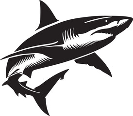illustration of a shark