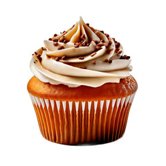 cupcake with icing and sprinkles