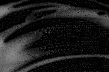 Beer, waves, drinks, drinks, milk tea, patterns, vectors, overlays, cakes, food, foam, dreams.