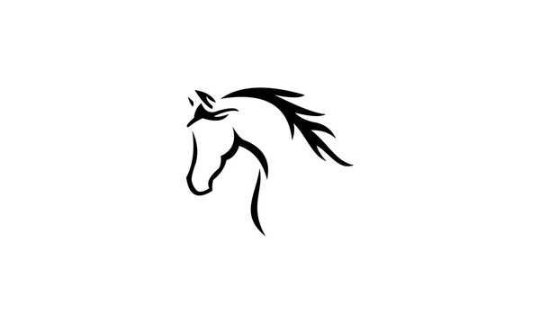 horse head vector