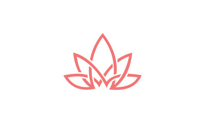 pink lotus flower