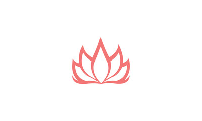 pink lotus flower