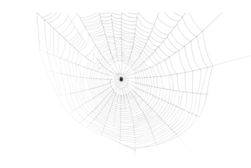 Spider Web PNG