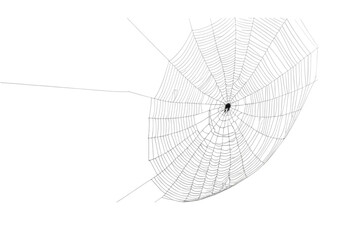 Obraz premium Spider Web PNG