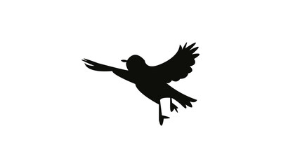 Flying White Eye Bird Silhouette Design  And Vector Illustration. 