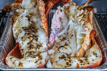 Large Australian Saltwater Rock Lobstera baking in the oven