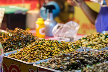 Close-up view of a traditional Thai street market stand showcasing trays of fried insects, including crickets and beetles.