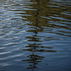 Shoot reflections distorted by rippling water.