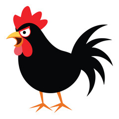 angry chicken illustration
