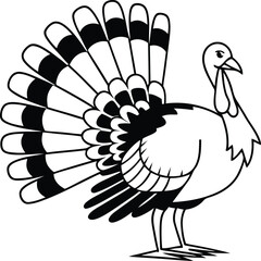 Turkey silhouette vector illustration, Turkey line art vector