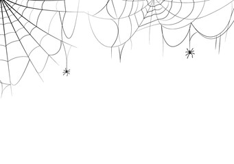 Spider or cob web cobweb. scary symbol isolated on white studio background Halloween or thanksgiving Holiday season decoration copy space