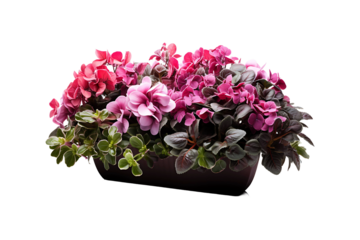 Window Box Planter isolated on transparent background.
