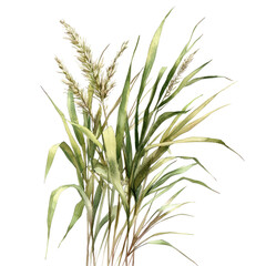 Fototapeta premium Beautiful Pastel Illustration of Lemongrass with Delicate Details in Soft Green and Yellow Hues for Creative Projects