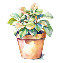 Pastel Illustration of a Potted Plant with Green Leaves in a Terracotta Pot for Retro Design and Decorative Use