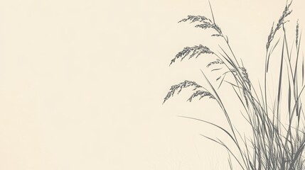 minimalist background rice, copy and text space, 16:9