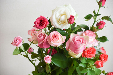 カラフルな薔薇
