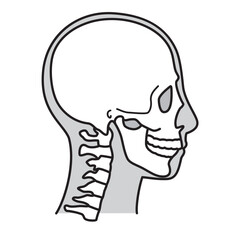 頭蓋骨　横顔　右向き　白黒
