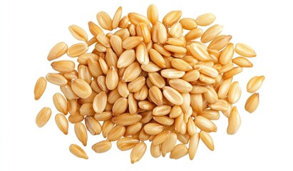 A pile of browned sesame seeds isolated on a white background with a clipping path