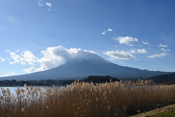河口湖の大石公園から雲がかかった富士山とススキの風景