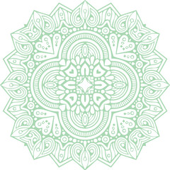 Beautiful flower art and mandala vector design