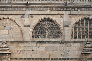 The famous stone lace windows of the Siddi Saiyyed Mosque
